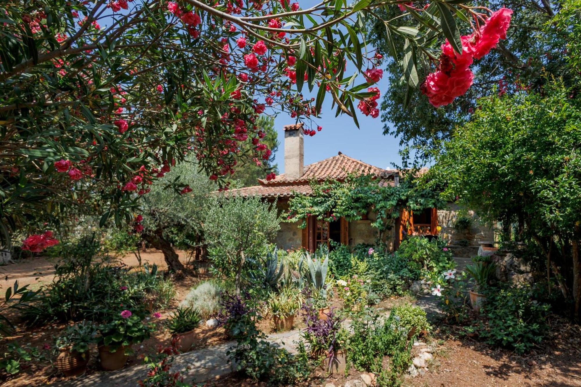 Villa Spiti Nicola Stoúpa Exterior foto
